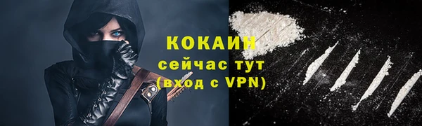 бошки Белокуриха