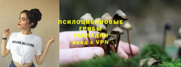 дживик Семилуки