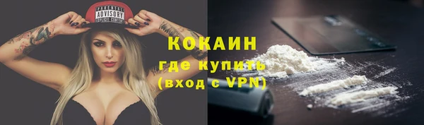 дживик Семилуки