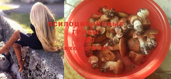 бошки Белокуриха