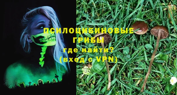 бошки Белокуриха