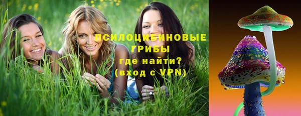 стаф Беломорск