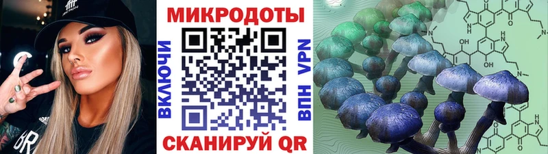 Псилоцибиновые грибы прущие грибы  закладки  ссылка на мегу зеркало  Чулым 